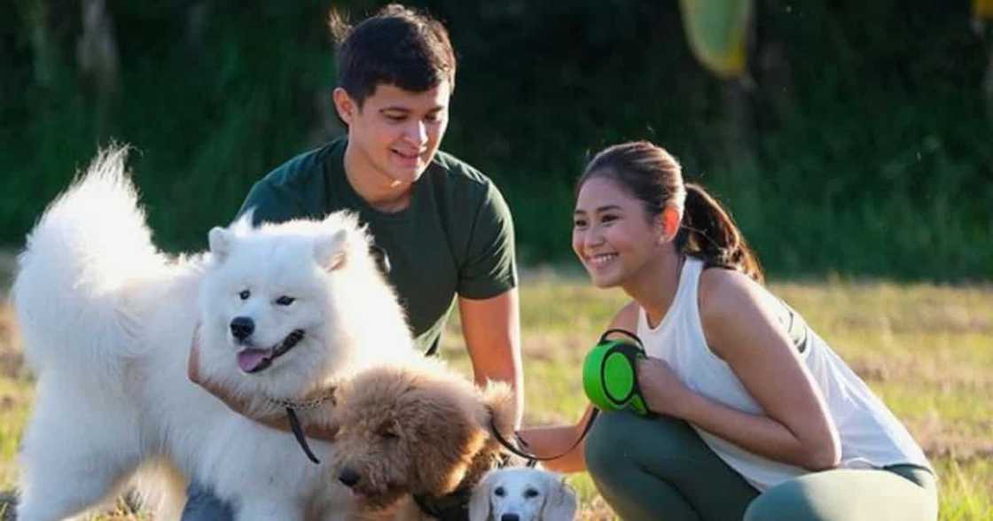 Matteo Guidicelli, ipinagluto umano ng pagkain sina Mommy Divine Geronimo, ani source ni Cristy Fermin Matteo Guidicelli, ipinagluto umano ng pagkain sina Mommy Divine Geronimo, ani source ni Cristy Fermin