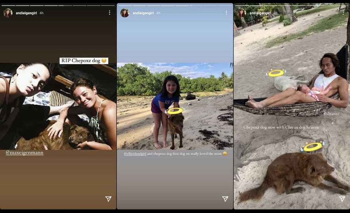Andi Eigenmann, Philmar Alipayo mourn death of their pet dog Chep in viral posts Andi Eigenmann, Philmar Alipayo mourn death of their pet dog Chep in viral posts
