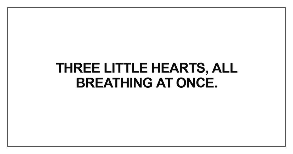 Three little hearts, all breathing at once Three little hearts, all breathing at once