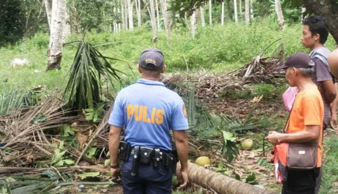 Buntis na babae, nasawi matapos mabagsakan ng puno ng niyog sa Davao Occidental Buntis na babae, nasawi matapos mabagsakan ng puno ng niyog sa Davao Occidental