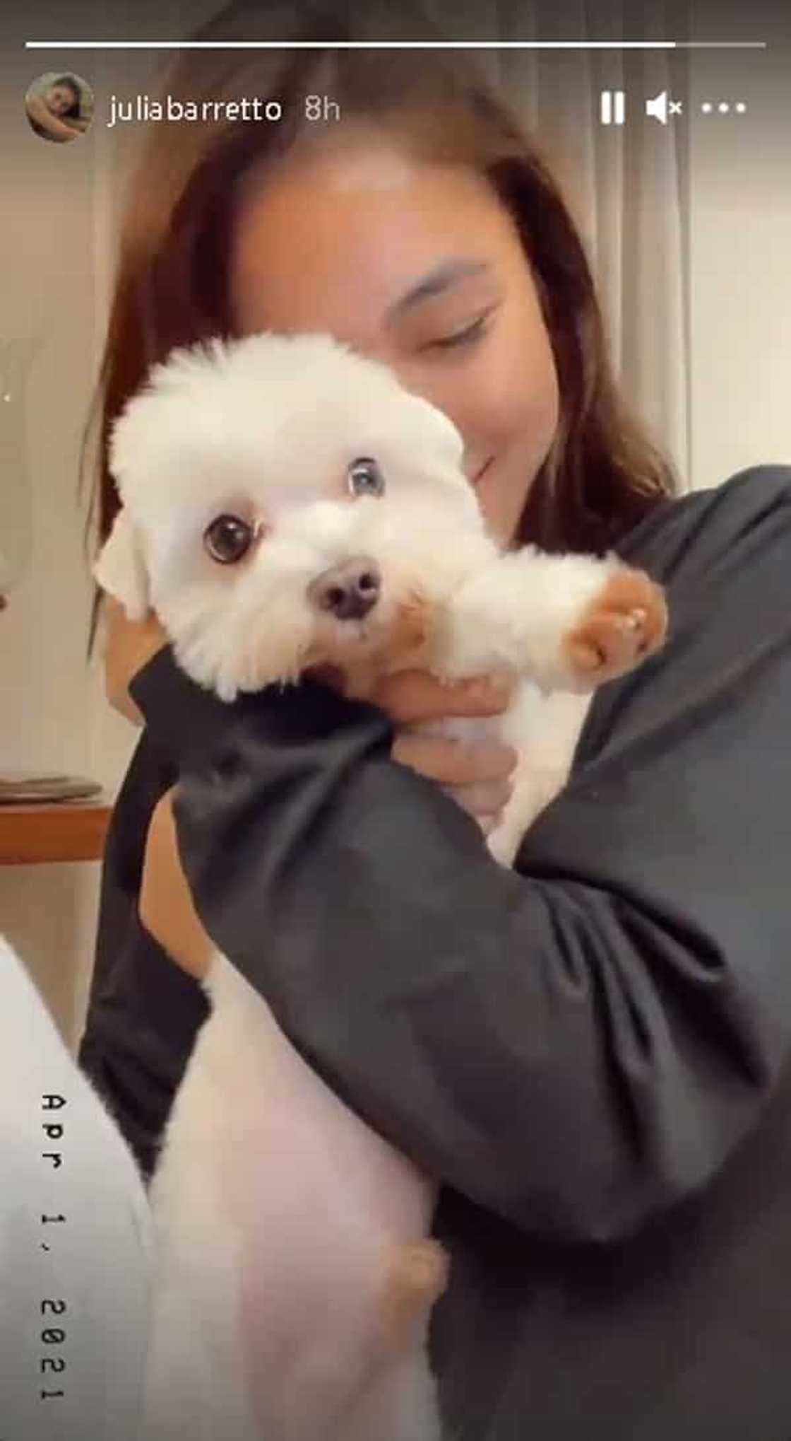 Video of puffy-eyed Julia Barretto hugging her dog goes viral amid Gerald and Yam's "maiinit" scenes Video of puffy-eyed Julia Barretto hugging her dog goes viral amid Gerald and Yam's "maiinit" scenes