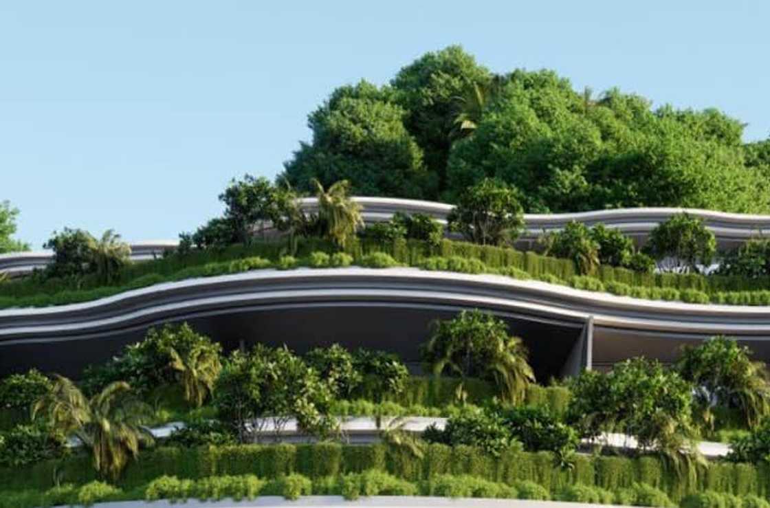 Monterrazas de Cebu developer issues statement on DENR findings Monterrazas de Cebu developer issues statement on DENR findings