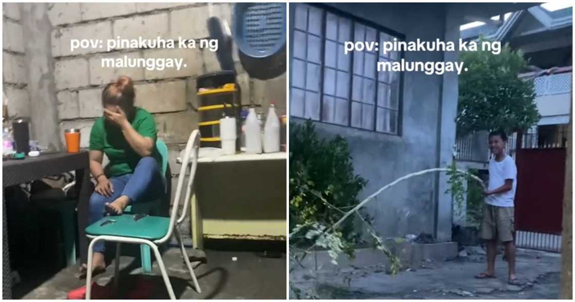 Batang inutusang kumuha ng malunggay, pinatawa ang pamilya sa kanyang iniuwi