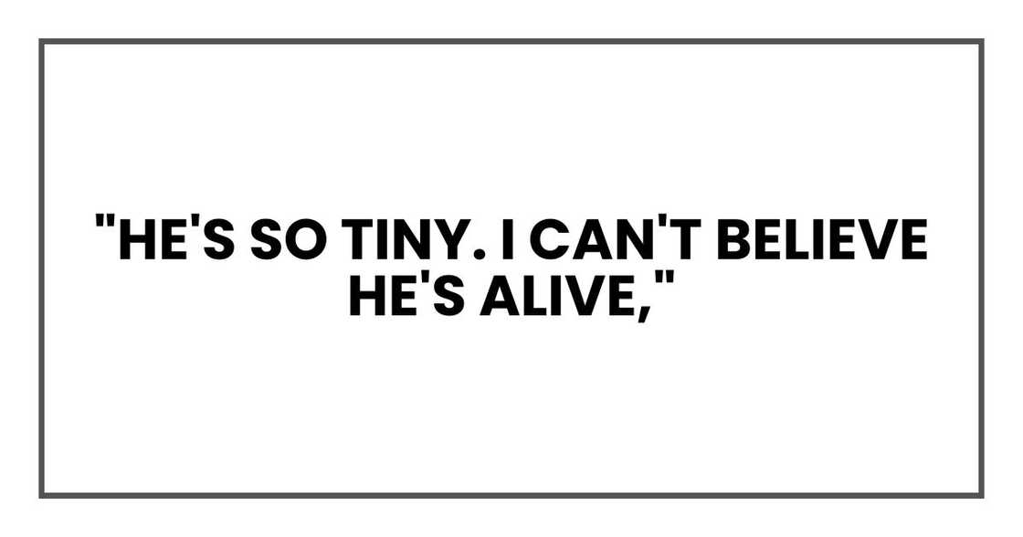"He's so tiny. I can't believe he's alive," "He's so tiny. I can't believe he's alive,"
