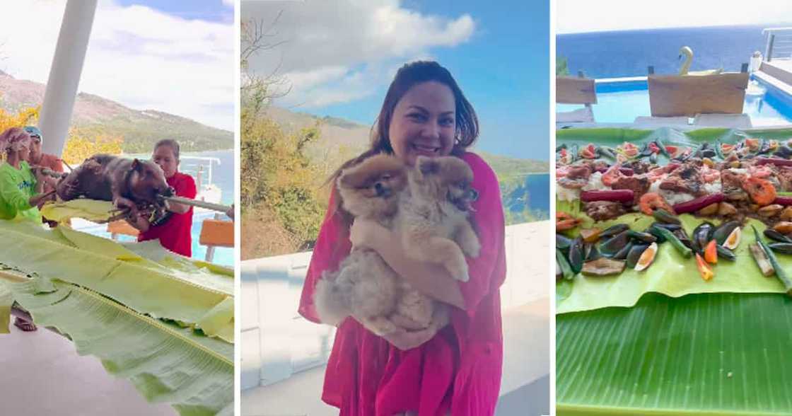KC Concepcion KC Concepcion