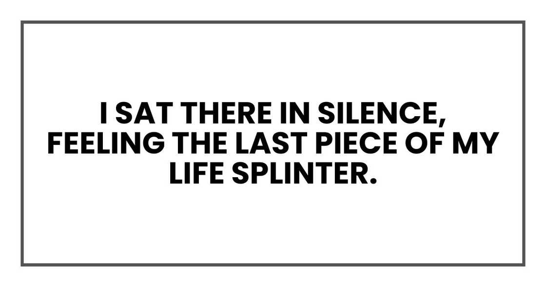 I sat there in silence, feeling the last piece of my life splinter.
