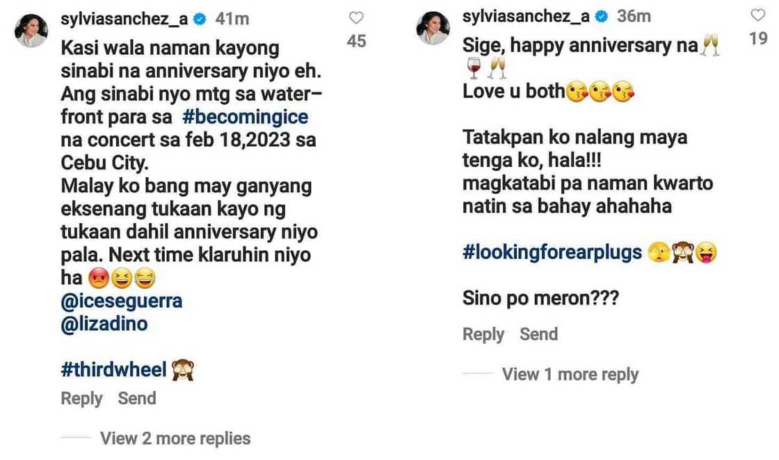 Sylvia Sanchez sa pagiging 3rd wheel sa anniv nina Ice Seguerra, Liza Diño: “Malay ko bang may ganyang eksena” Sylvia Sanchez sa pagiging 3rd wheel sa anniv nina Ice Seguerra, Liza Diño: “Malay ko bang may ganyang eksena”
