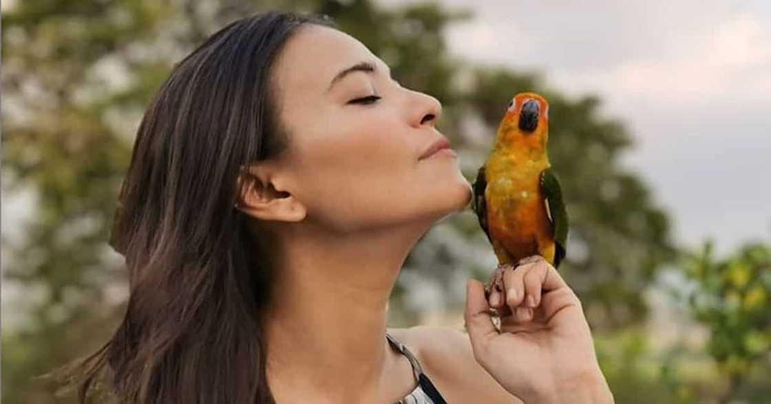 Alessandra de Rossi slams netizens for bashing her comments regarding the pandemic Alessandra de Rossi slams netizens for bashing her comments regarding the pandemic
