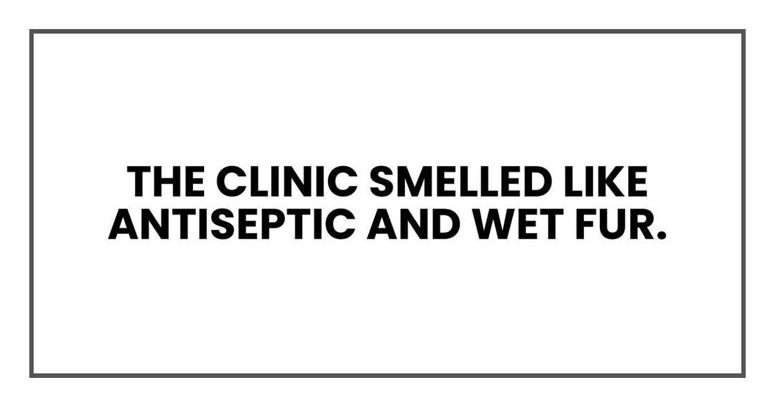 THE CLINIC THE CLINIC