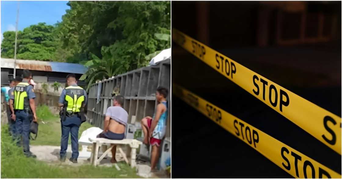 GMA Integrated News on YouTube
cottonbro studio on Pexels GMA Integrated News on YouTube
cottonbro studio on Pexels