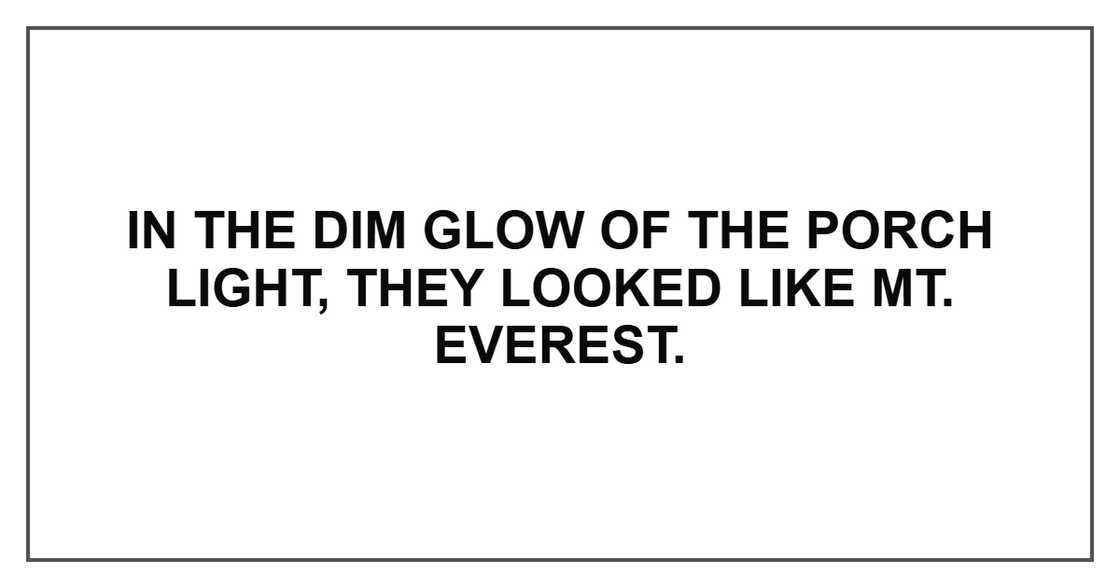 In the dim glow of the porch light, they looked like Mt. Everest.