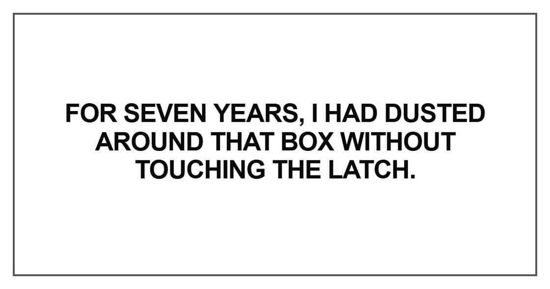 For seven years, I had dusted around that box For seven years, I had dusted around that box