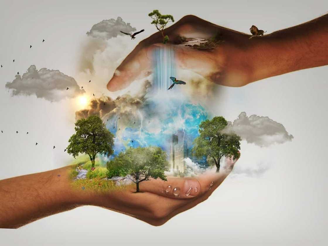 Current global issues: environmental challenges Current global issues: environmental challenges