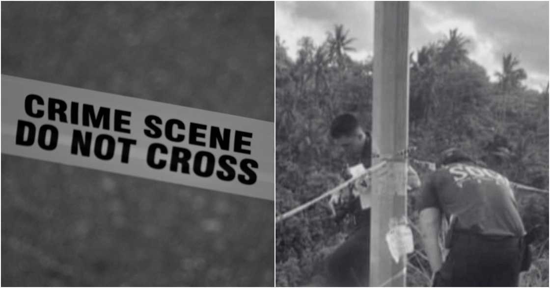 Mark D'aiuto on Pexels
GMA News on Facebook Mark D'aiuto on Pexels
GMA News on Facebook