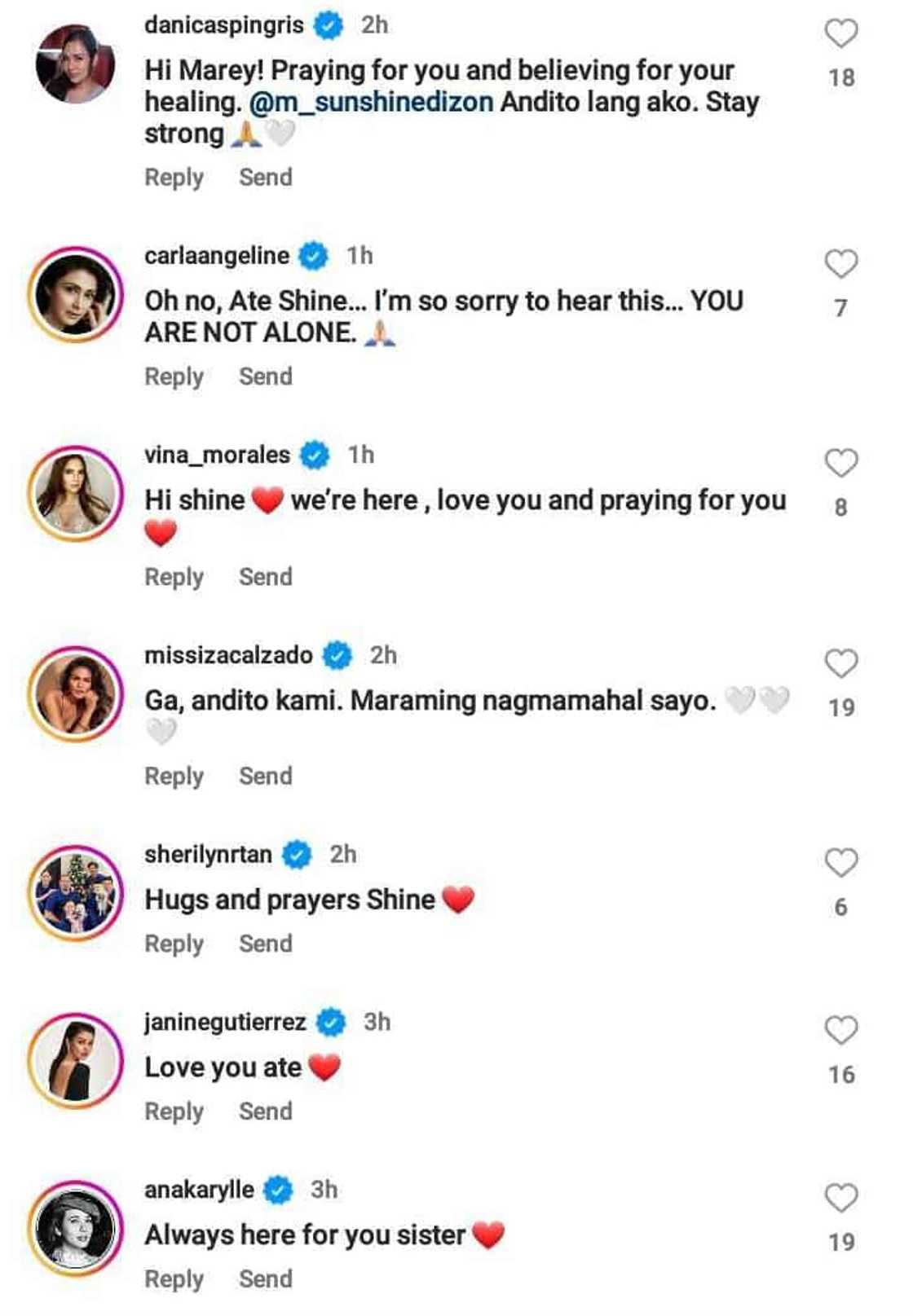 Sunshine Dizon diagnosed with PTSD, other mental health conditions Sunshine Dizon diagnosed with PTSD, other mental health conditions