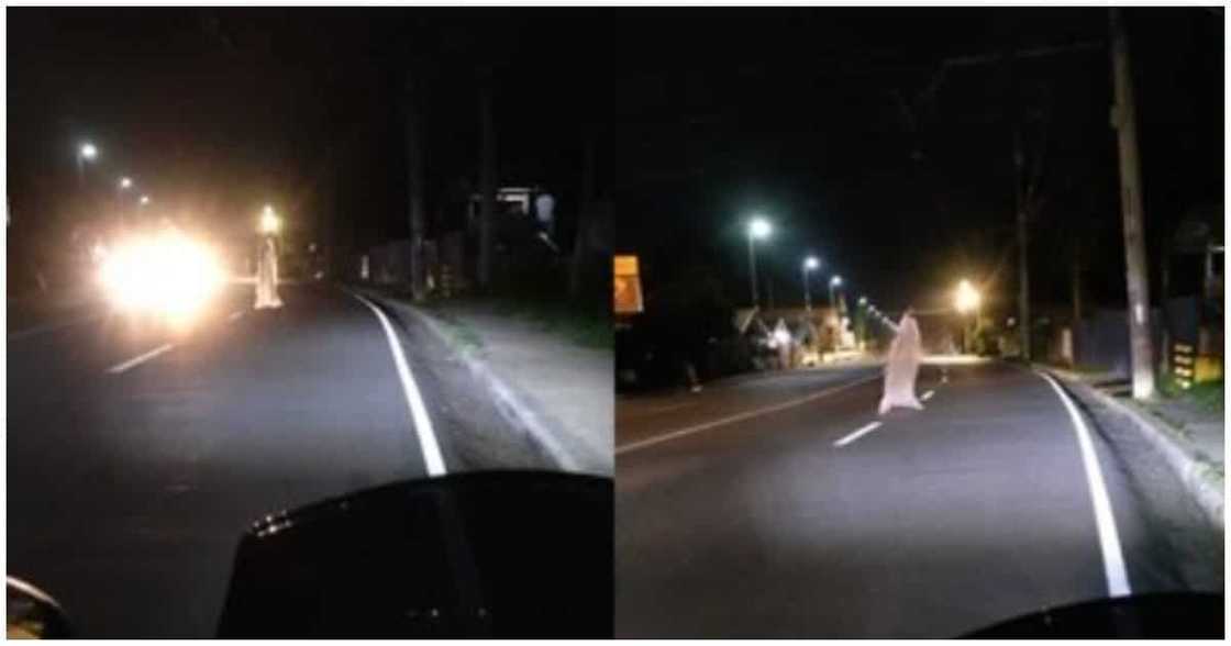 Plastik sa kalsada na inakalang white lady, agaw-eksena online Plastik sa kalsada na inakalang white lady, agaw-eksena online