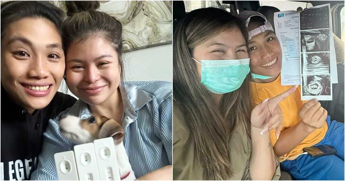 Hergie & Lady on Facebook