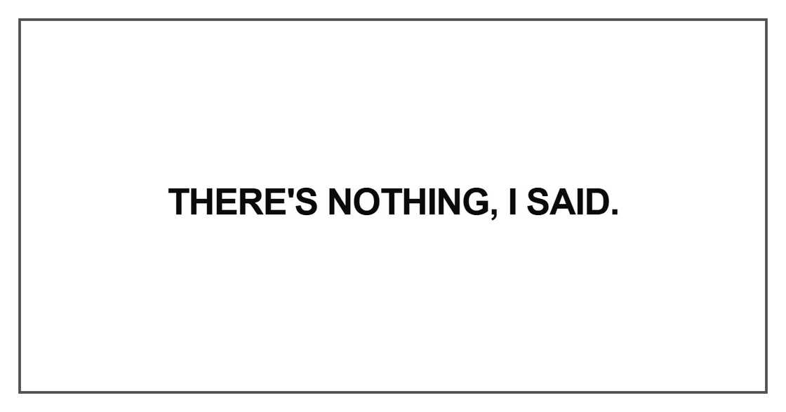 There's nothing, I said. There's nothing, I said.