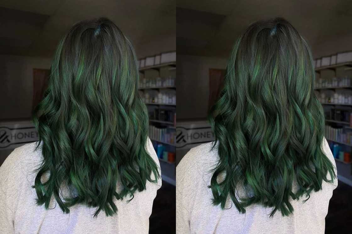 highlights hair color for morena highlights hair color for morena