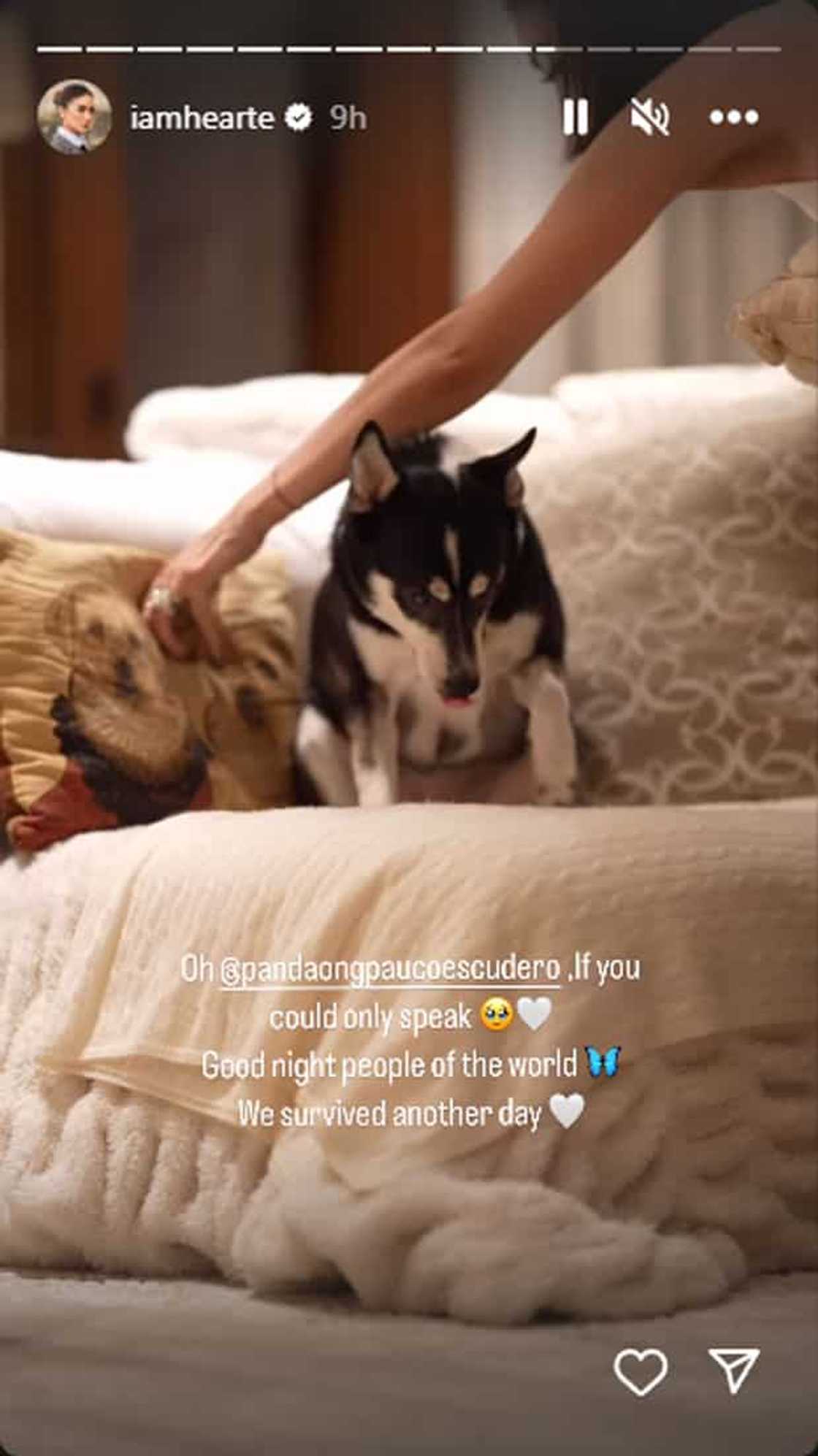 Photo: Heart Evangelista (@iamhearte) Photo: Heart Evangelista (@iamhearte)