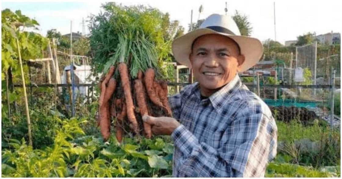 Dating teacher na piniling manirahan sa Italy, mahigit Php120,000 na ang kinikita kada buwan Dating teacher na piniling manirahan sa Italy, mahigit Php120,000 na ang kinikita kada buwan