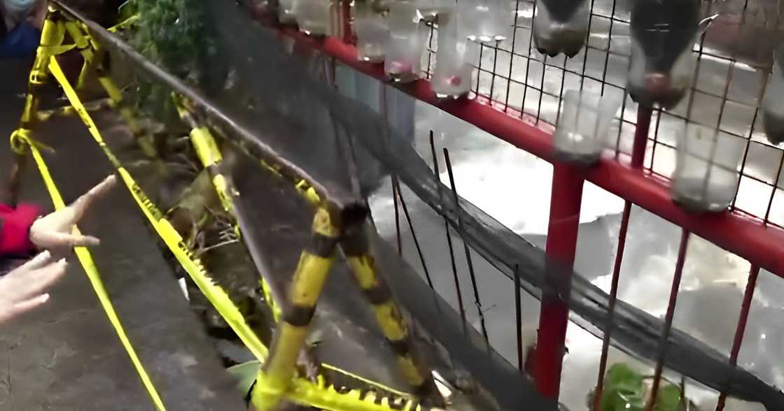 Lalake, patay nang malunod sa sapa nang biglang tumaas ang tubig Lalake, patay nang malunod sa sapa nang biglang tumaas ang tubig