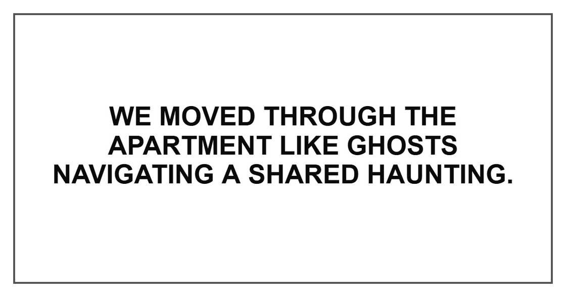 We moved through the apartment like ghosts navigating a shared haunting.
