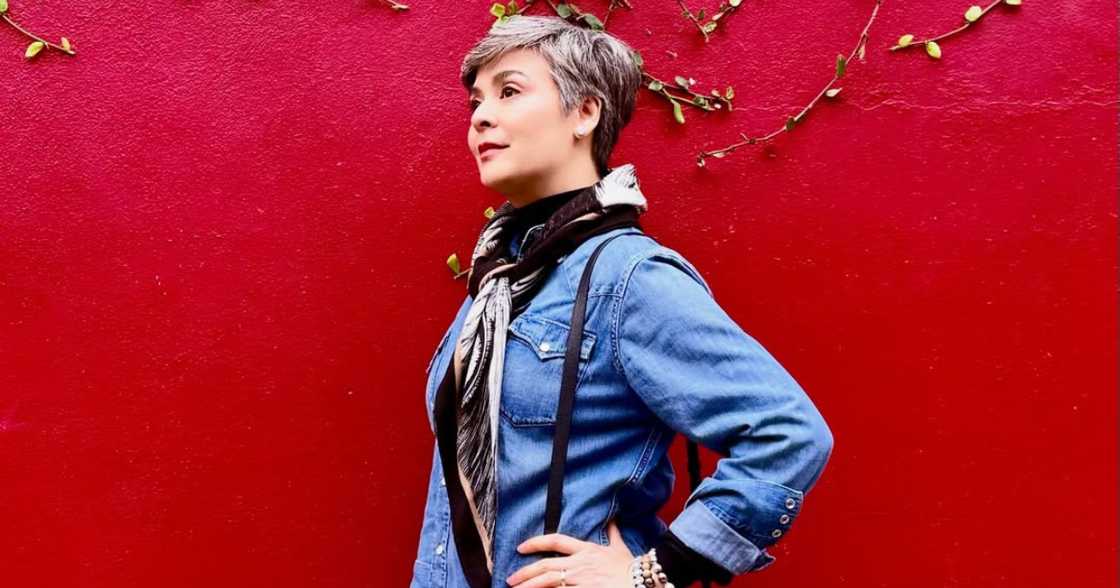 Dawn Zulueta, nag-break sa showbiz pero may ikakagulat na plano sa kanyang pagbabalik