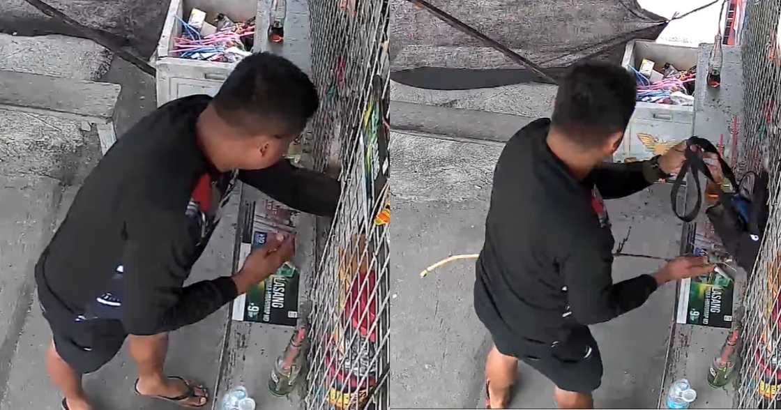 Mariella Carito Brosas