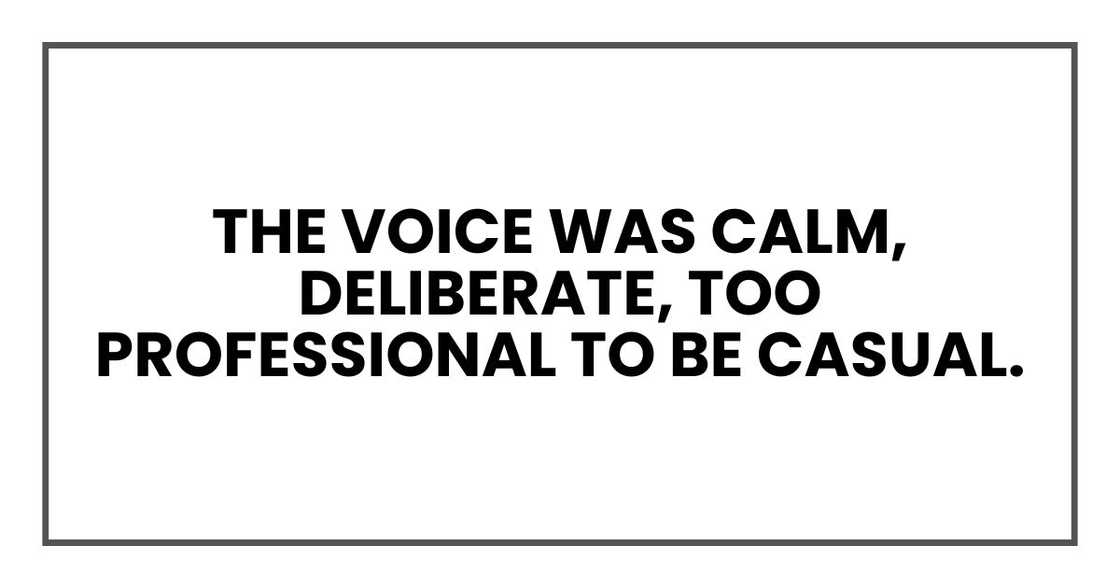 The voice was calm, deliberate, too professional to be casual. The voice was calm, deliberate, too professional to be casual.