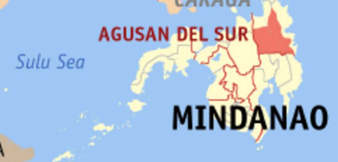 Mga insekto at ibon, nagliparan matapos ang lindol sa Agusan del Sur