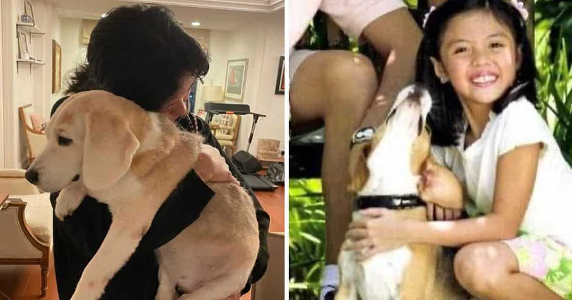 Frankie Pangilinan Frankie Pangilinan