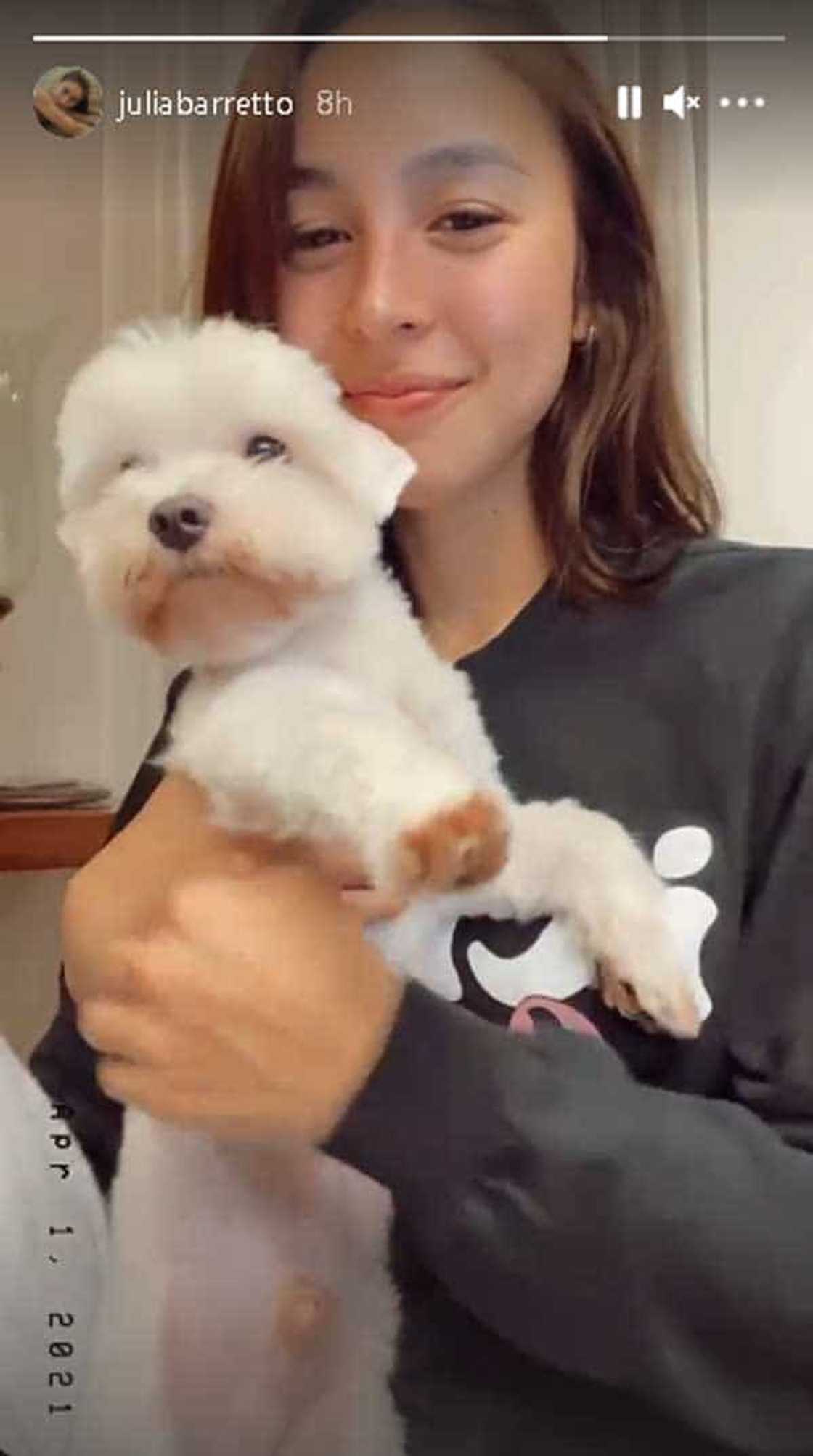 Video of puffy-eyed Julia Barretto hugging her dog goes viral amid Gerald and Yam's "maiinit" scenes Video of puffy-eyed Julia Barretto hugging her dog goes viral amid Gerald and Yam's "maiinit" scenes