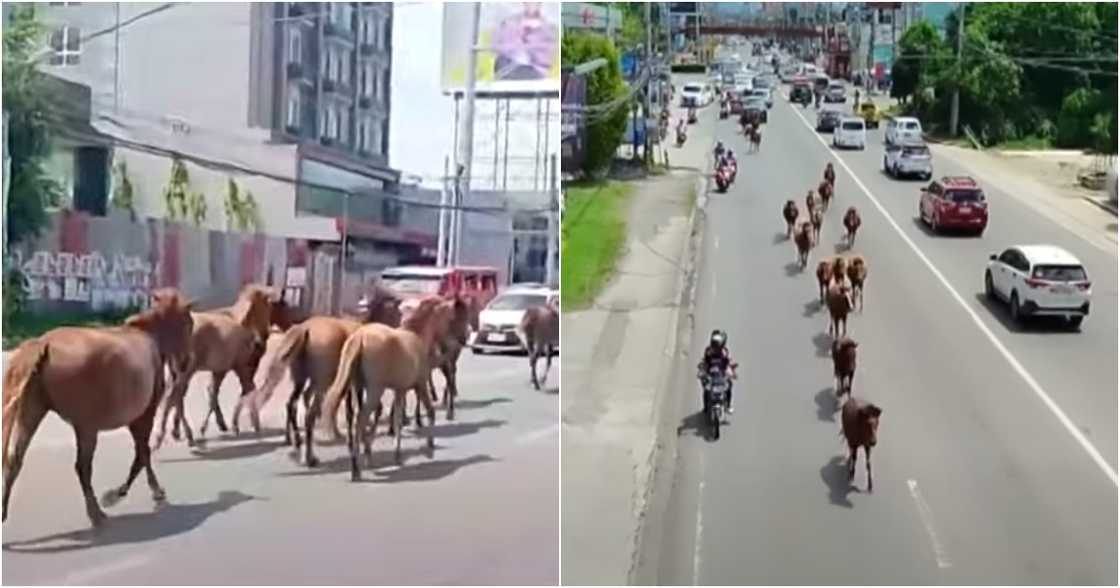 TV Patrol/ABS-CBN/ABS-CBN News on YouTube TV Patrol/ABS-CBN/ABS-CBN News on YouTube