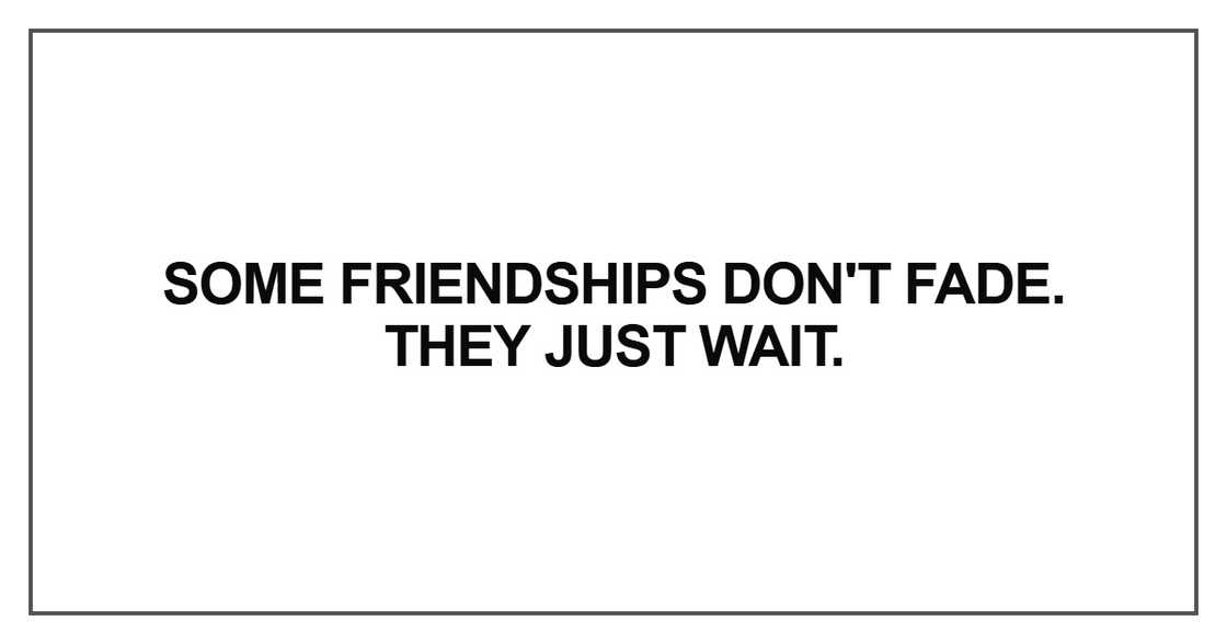 Some friendships don't fade. They just wait