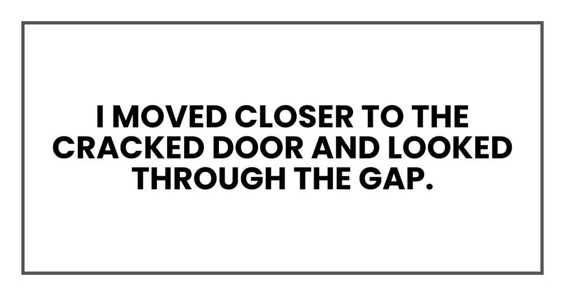 I moved closer to the cracked door and looked through the gap.