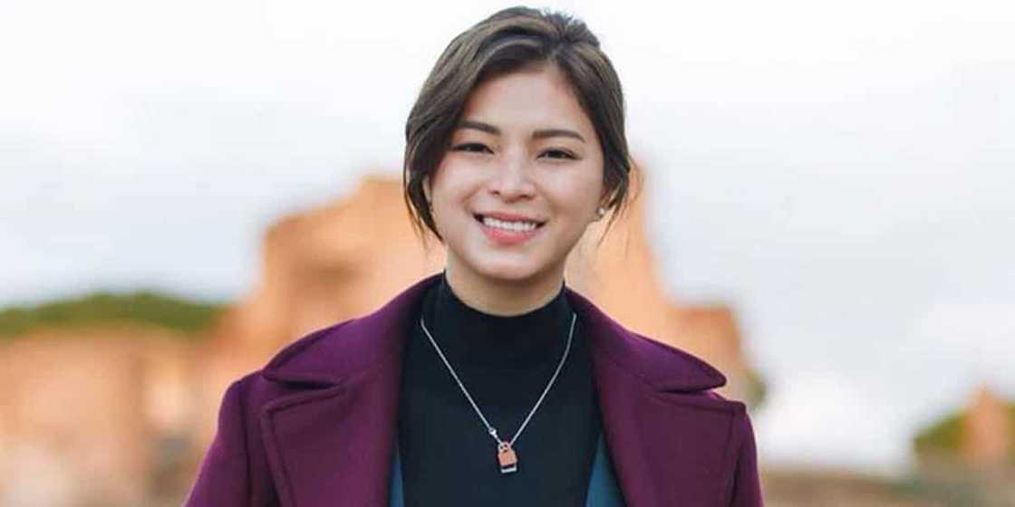 Angel Locsin takes a swipe at red-tagging of younger sister Ella by general