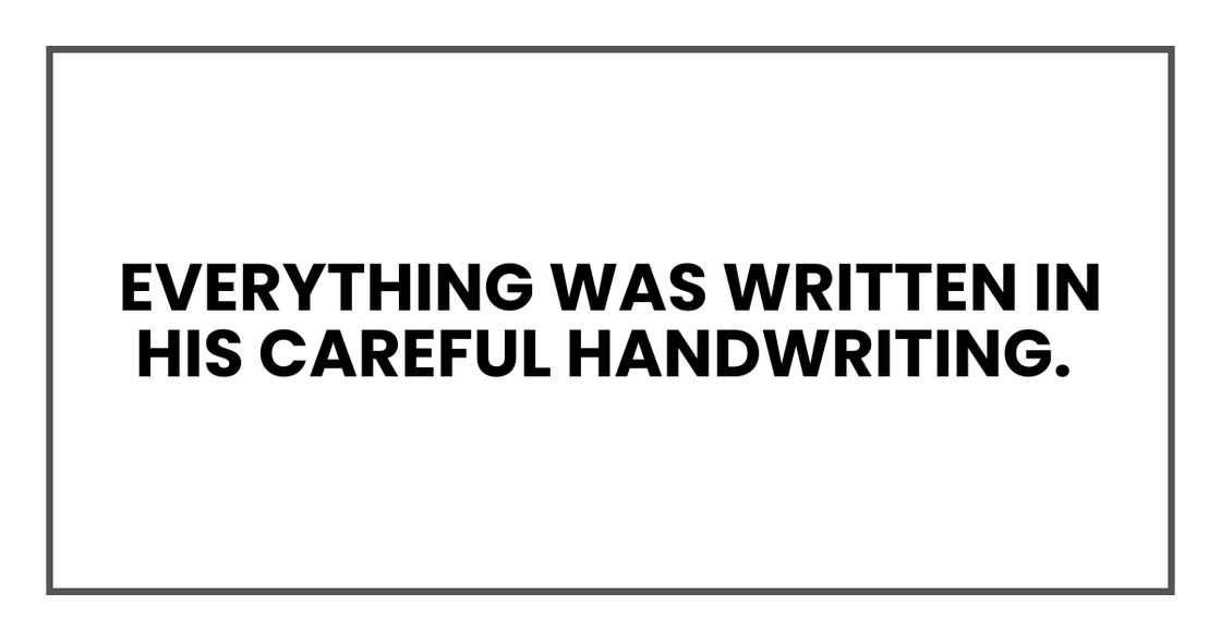 everything was written in his careful handwriting everything was written in his careful handwriting