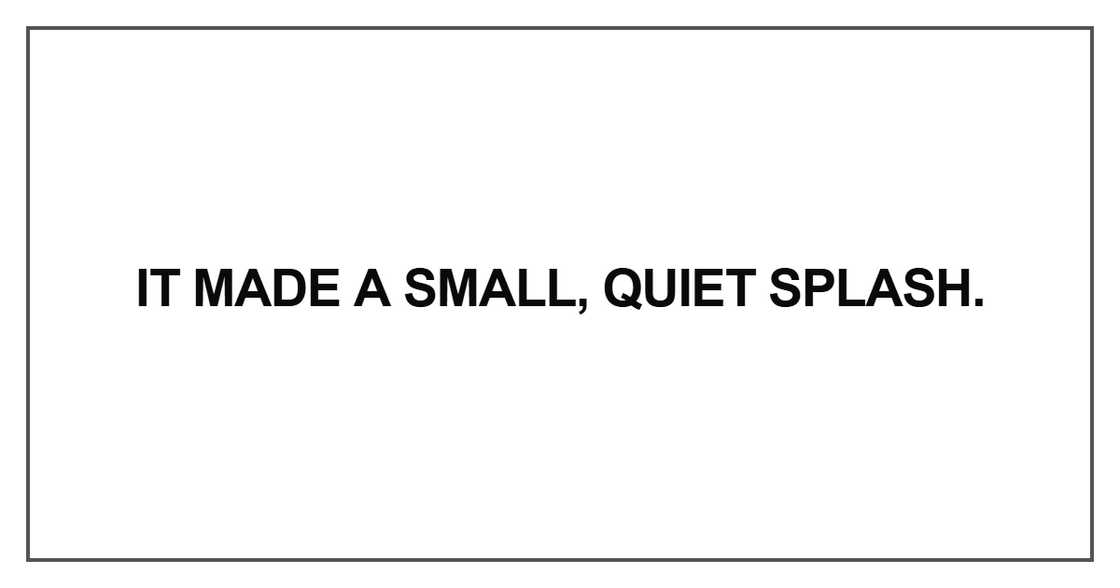 It made a small, quiet splash