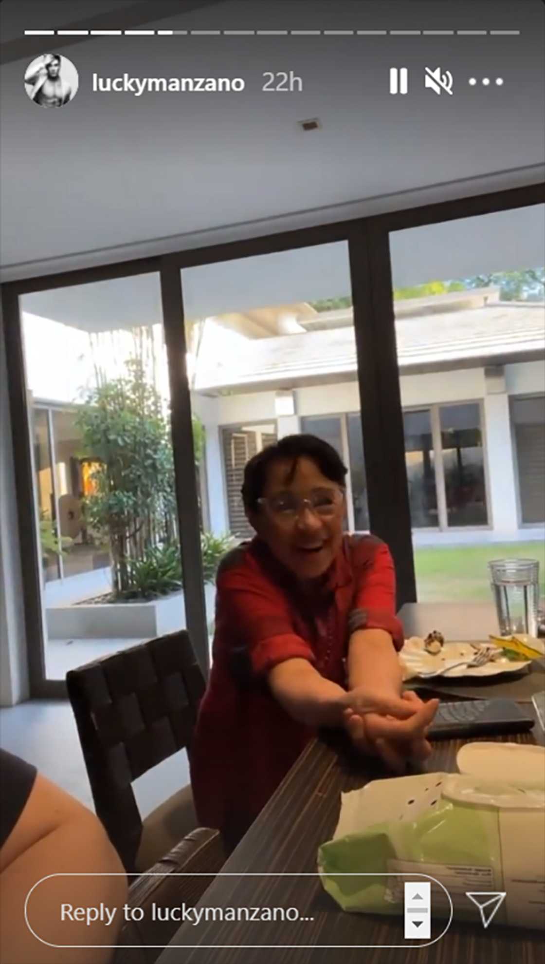 Luis Manzano invites his mother, Vilma Santos to join his next vlog Luis Manzano invites his mother, Vilma Santos to join his next vlog