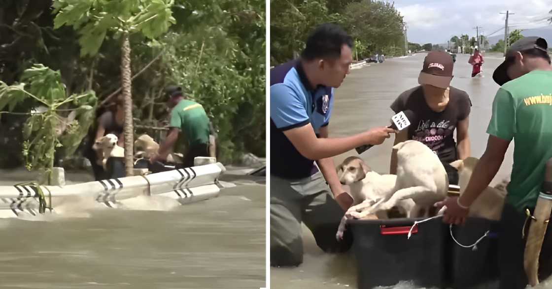 Screengrab from ABS-CBN News Screengrab from ABS-CBN News