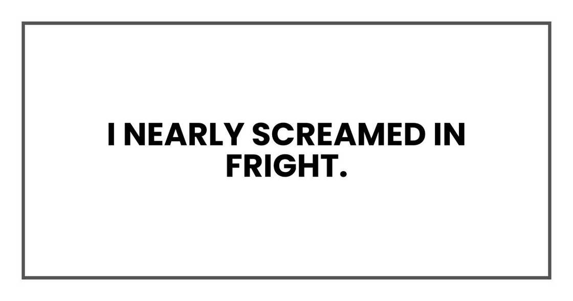 I nearly screamed in fright.