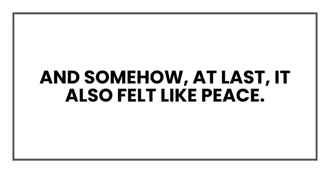 And somehow, at last, it also felt like peace. And somehow, at last, it also felt like peace.