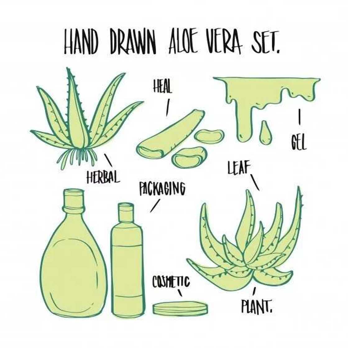 Credit: Freepik Credit: Freepik