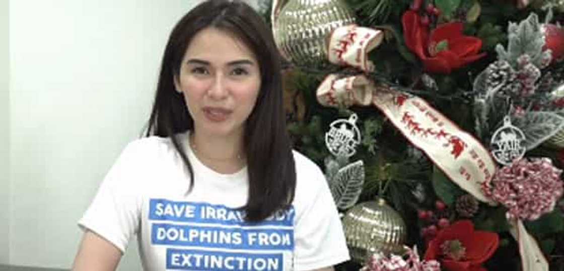 Jennylyn Mercado happily welcomes John Lloyd Cruz to GMA Jennylyn Mercado happily welcomes John Lloyd Cruz to GMA