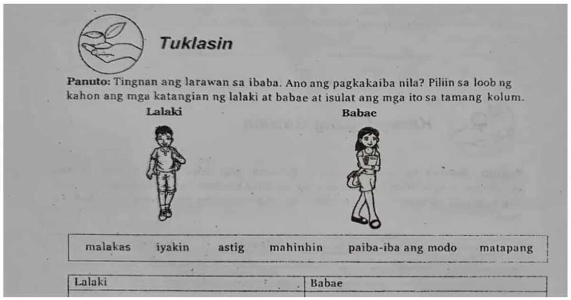 Grade 5 student na buong tapang na pinuna ang isang aralin, hinangaan ng marami