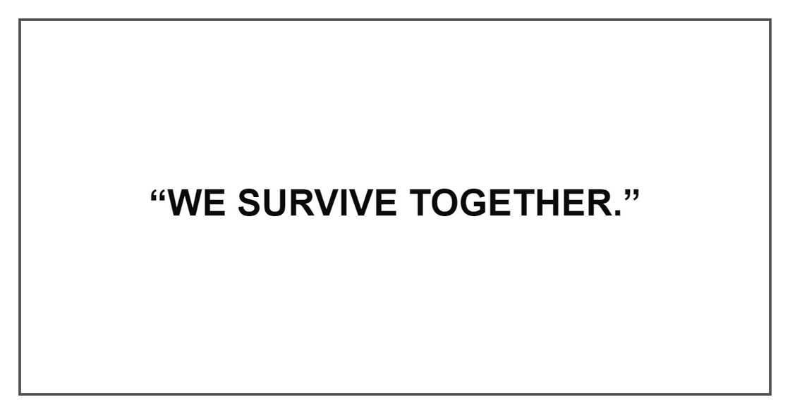 WE SURVIVE TOGETHER