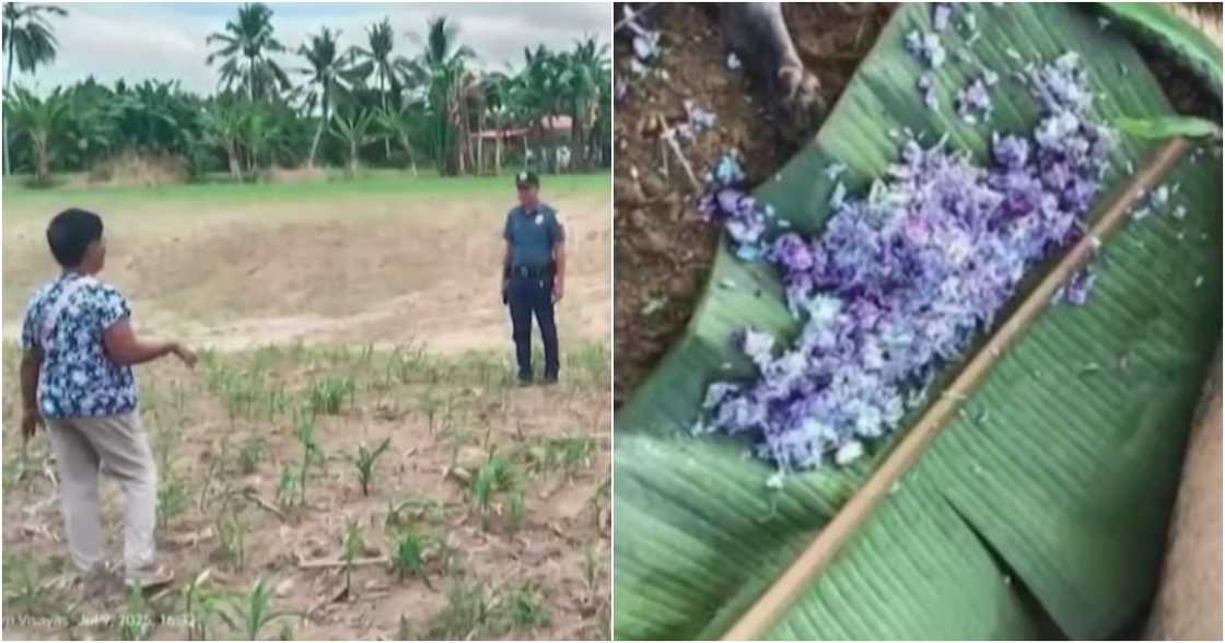 Unang Balita/GMA-7/GMA Integrated News on YouTube Unang Balita/GMA-7/GMA Integrated News on YouTube