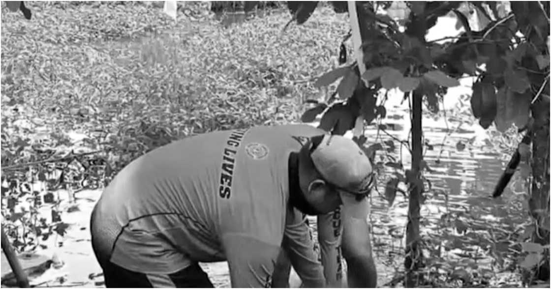 24-Oras Weekend/GMA-7/GMA Integrated News on YouTube 24-Oras Weekend/GMA-7/GMA Integrated News on YouTube