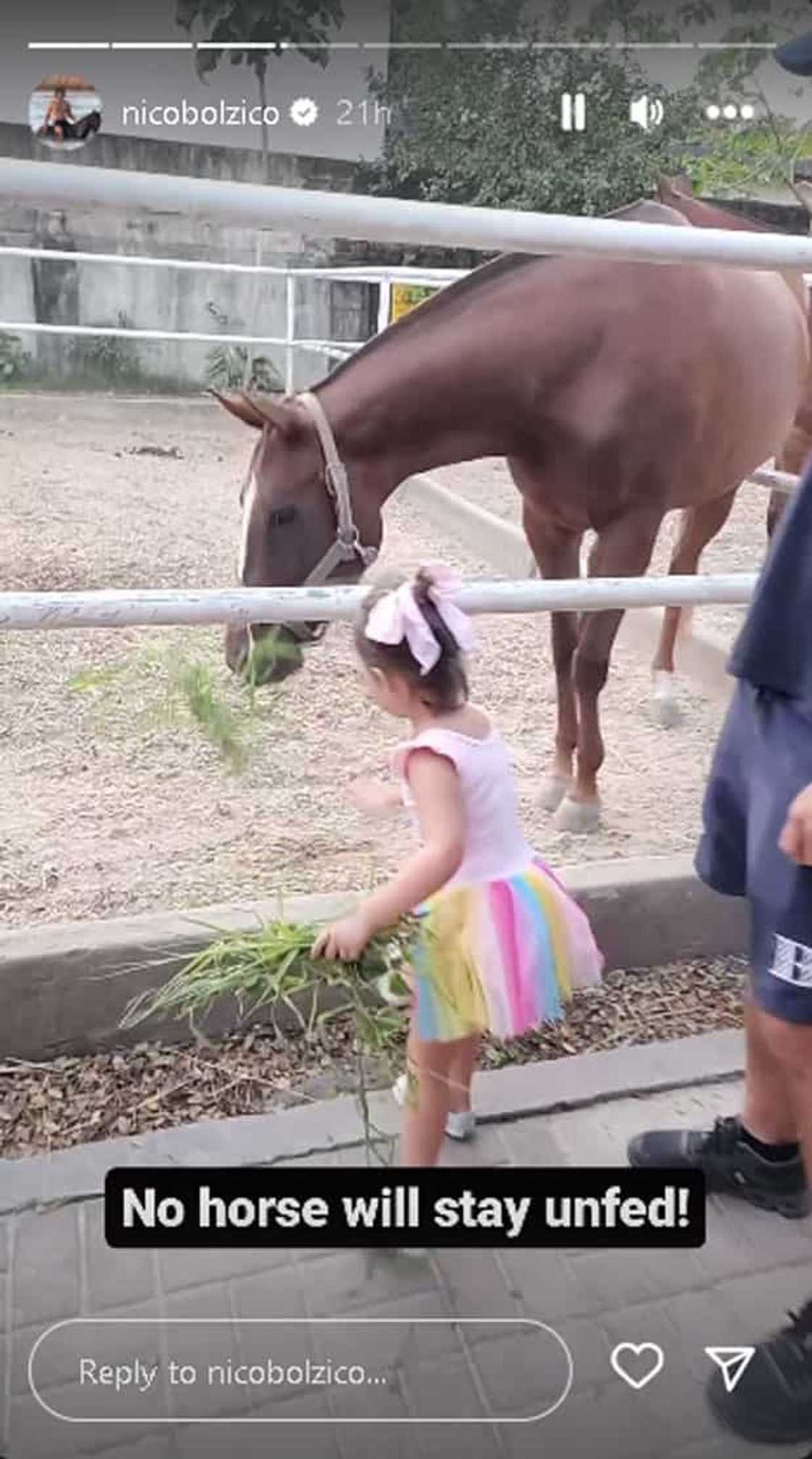 Nico Bolzico Nico Bolzico